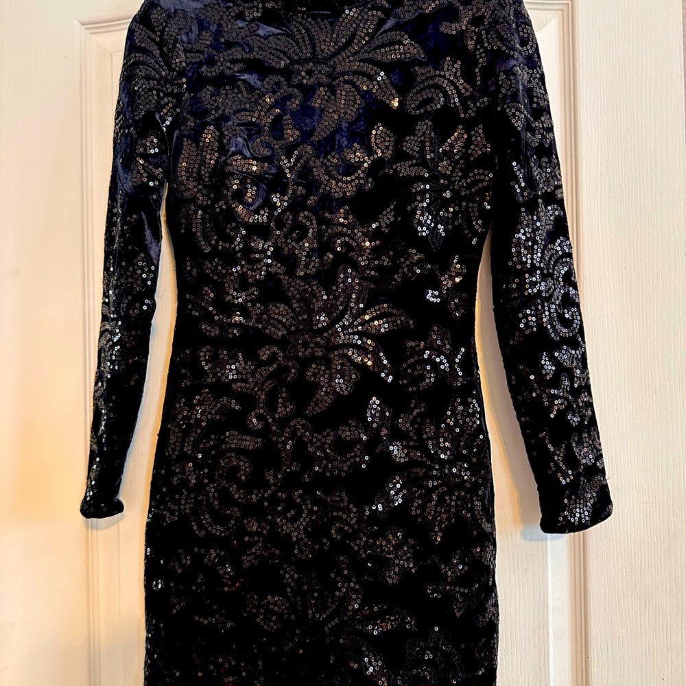 Knee length, long sleeve velvet embroidered dress